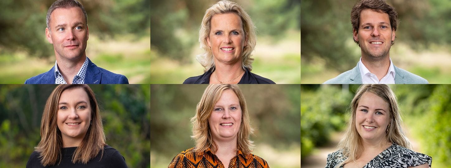 Meet the team!
